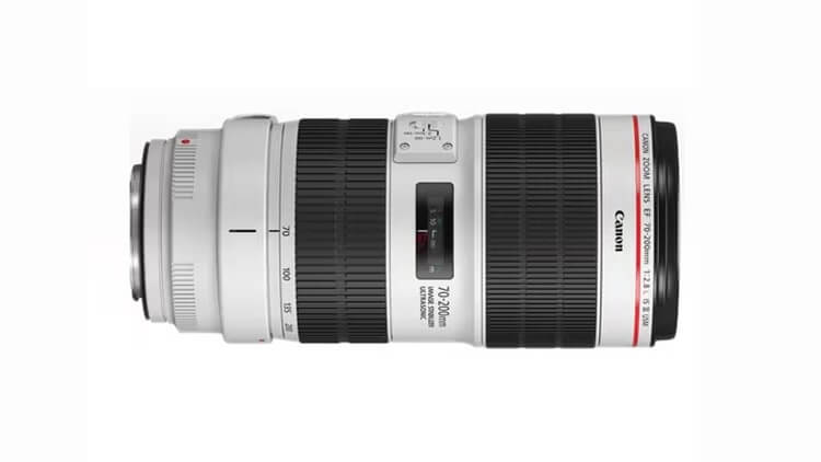 canon-zoom-prime-lens-rental-satpura-bori-safari-national-park