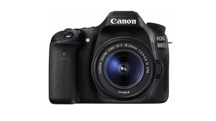 canon-camera-body-available-rent-satpura-bori-national-park-safaris