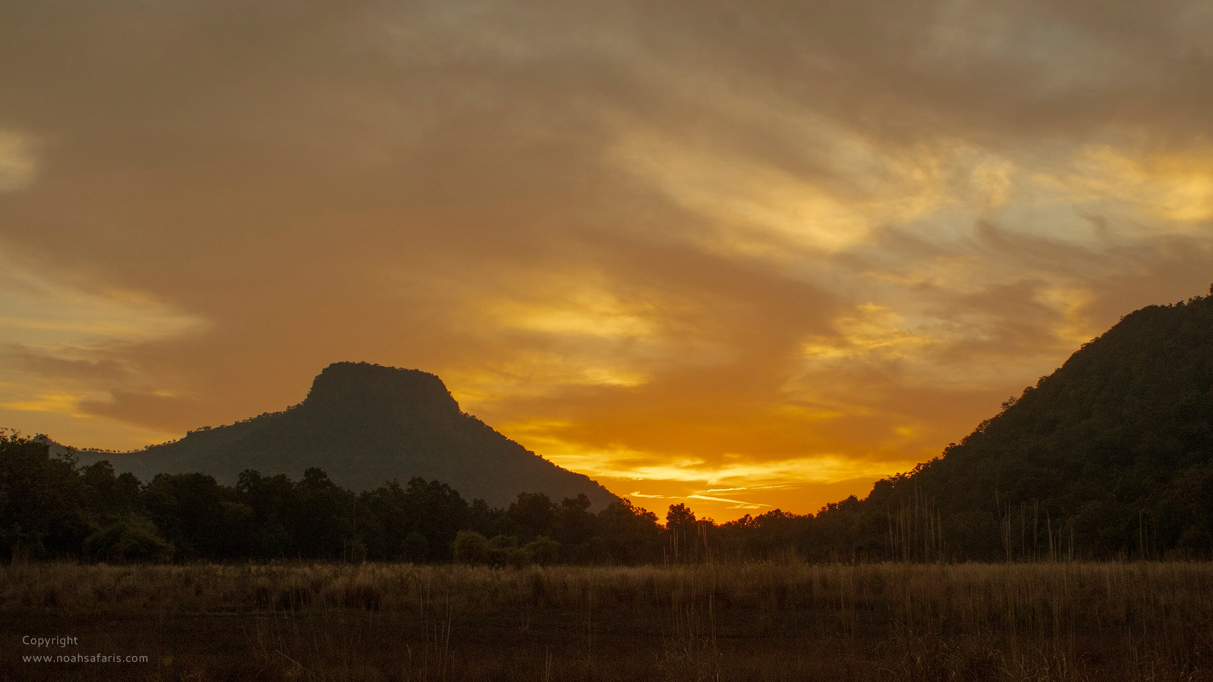 central-india-landscape-vindhyachal-mountain-range-chakradhara-grassland