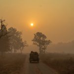 early-morning-safari-winters-misty-jeep-guest-booking-park-ticket