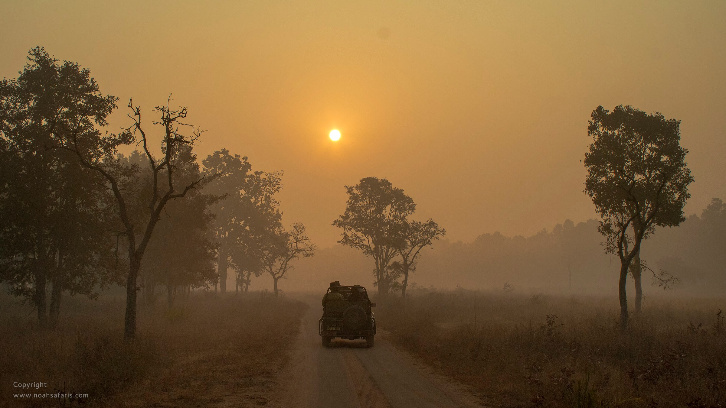early-morning-safari-winters-misty-jeep-guest-booking-park-ticket