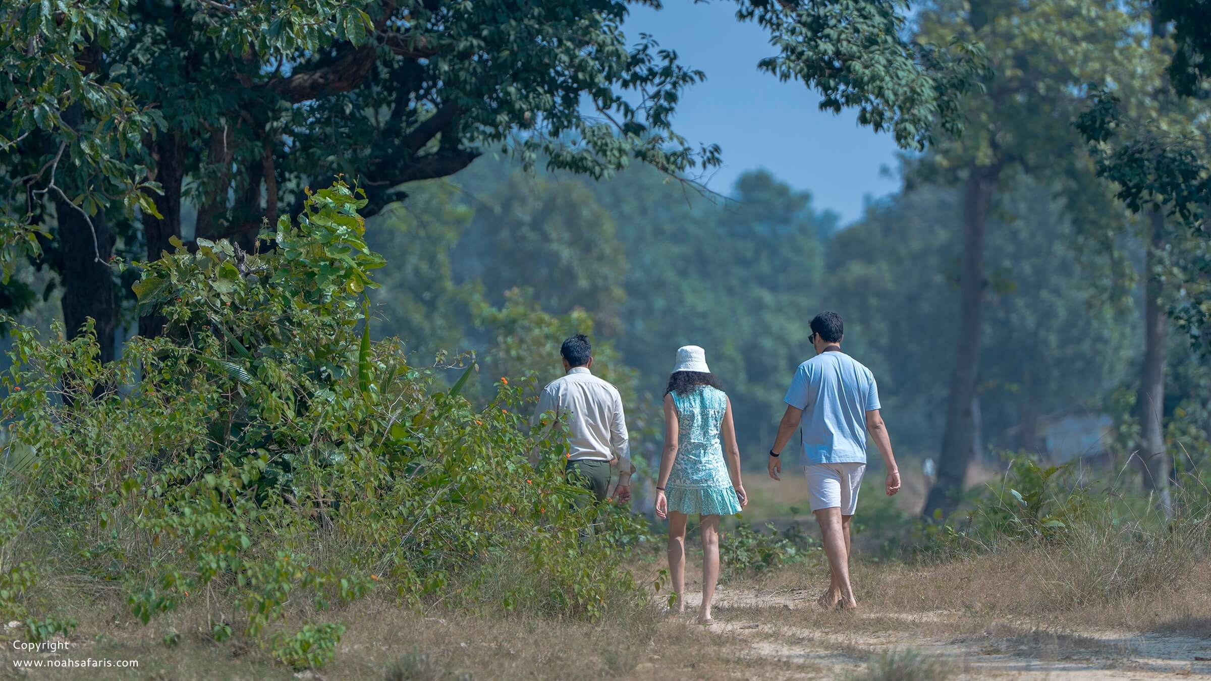 private-guide-naturalist-nature-walk-india-national-park