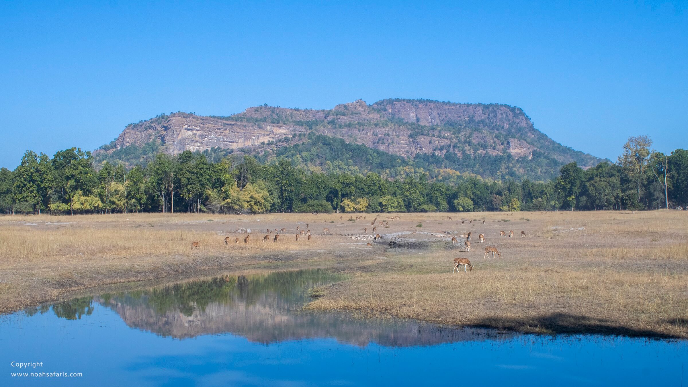scenic-landscape-vindhyachal-bandhavgarh-wide-angle-photography-mp