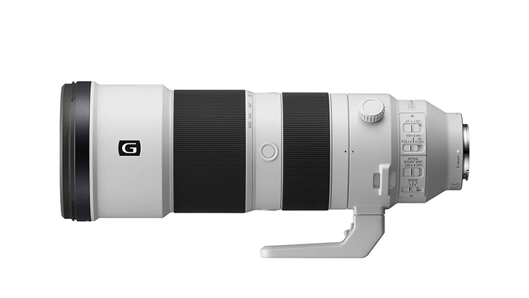 sony-200-600-zoom-lens-rental-bandhavgarh-safaris