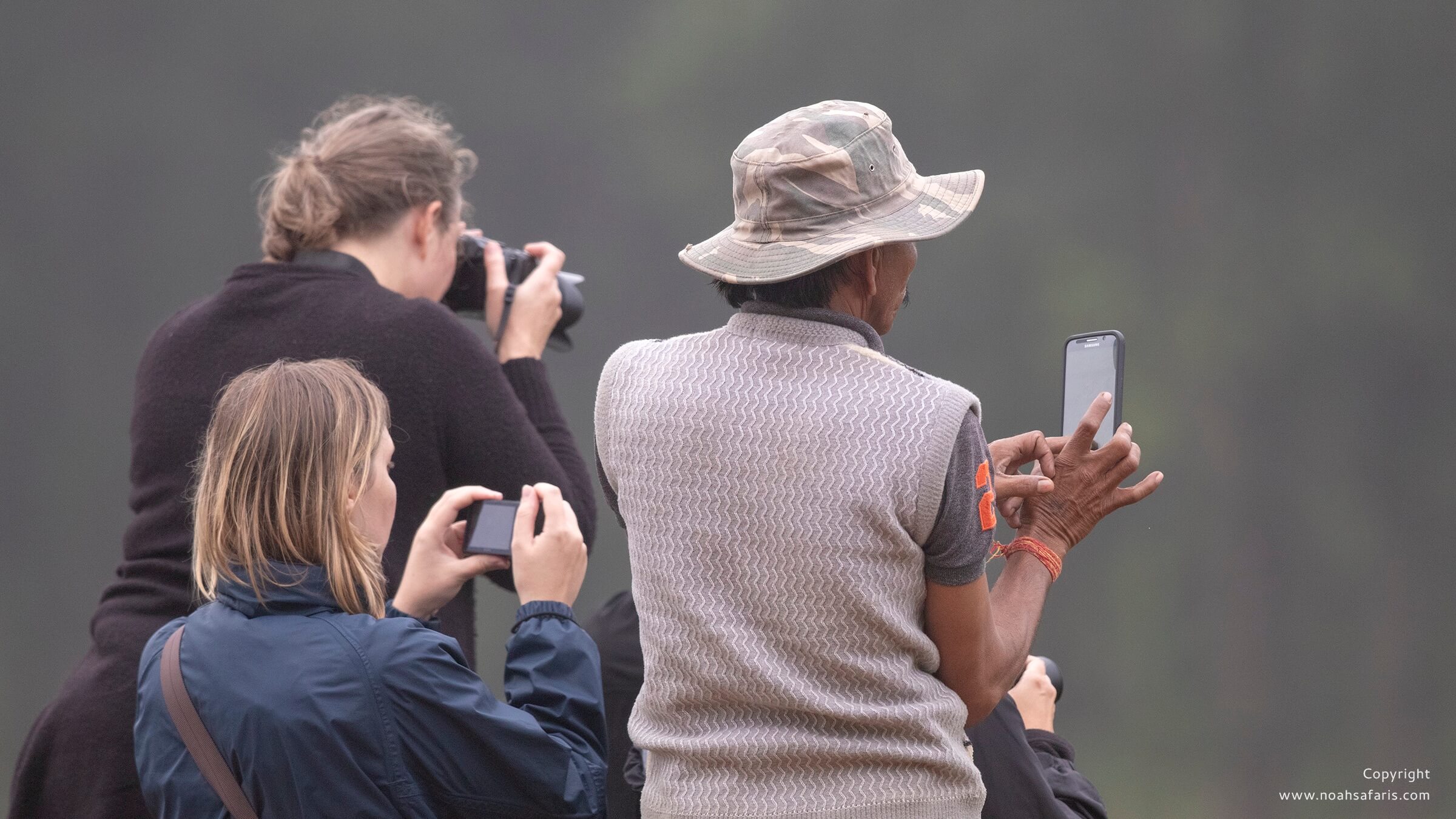 tiger-safari-photo-tours-best-guides-agency-holidays-book-now