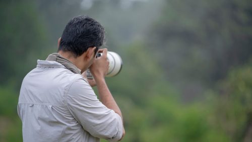 photography-raw-wildlife-sony-canon-nikon-ashish-tirkey-india