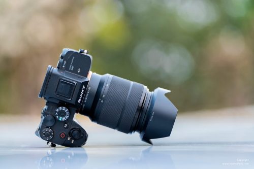 sony-camera-lens-rent-bandhavgarh-pench-tiger-reserves