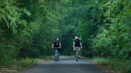 cycling-tour-national-park-central-india-tiger-safaris-pench