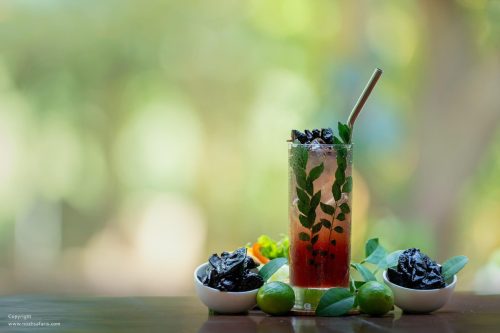 gin-kokum-lemon-juice-simple-syrup-purple-rain-cocktail-training-noah-safaris