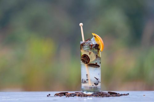 tequilla-pineapple-lemon-juice-jalapeno-rosemary-juniper-berry-syrup-cocktail-spicy-juniper